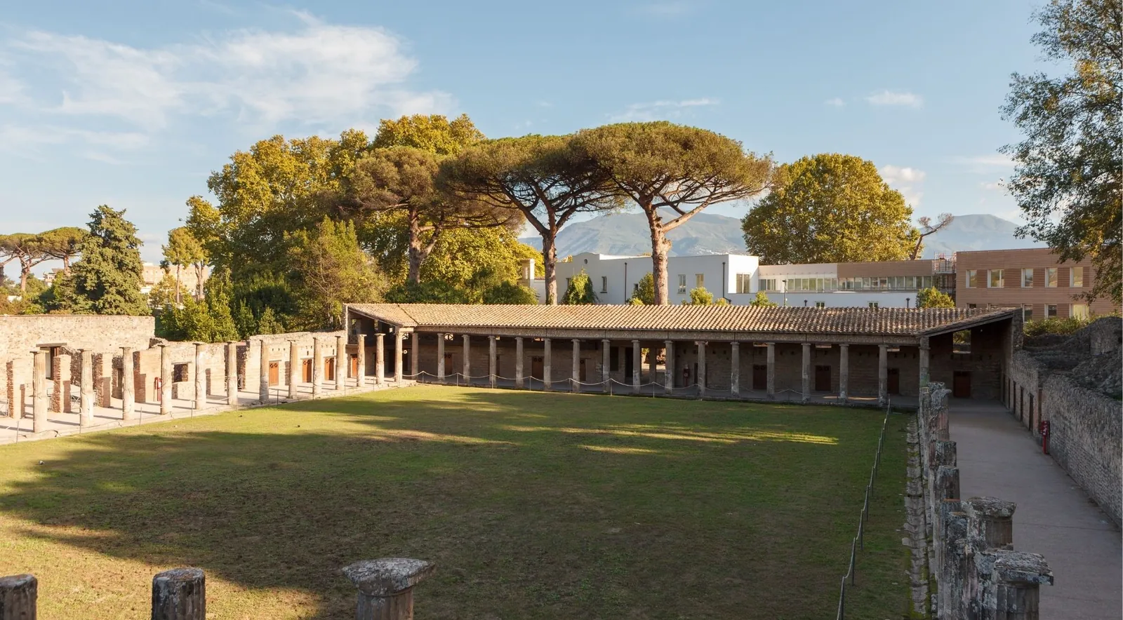 The colonnaded courtyard of the Large Palaestra at Pompeii, shaded by tall pine trees